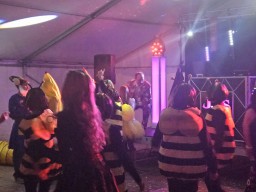 INSELKARNEVAL 2026 (ffburg)